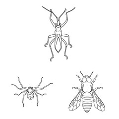 Isolated object of insect and fly sign. Collection of insect and element vector icon for stock.