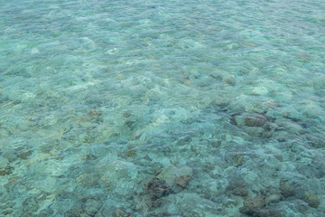 Turquoise water background. Maldives