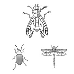 Vector illustration of insect and fly logo. Set of insect and element stock vector illustration.