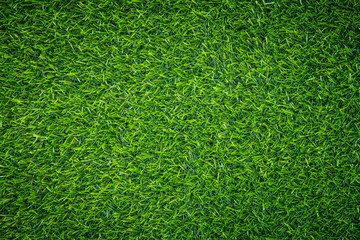 Fototapeta premium Green grass background
