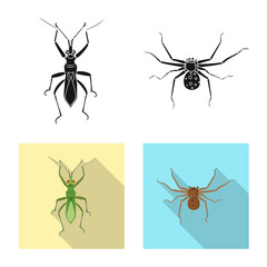 Isolated object of insect and fly sign. Collection of insect and element stock symbol for web.