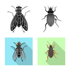 Isolated object of insect and fly sign. Set of insect and element stock symbol for web.