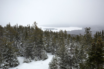 Winter view of icy Cupsuptic Lake from Bald Mountain, Maine.