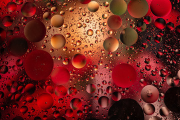 abstract photo of oil bubbles in the water on a colored background
