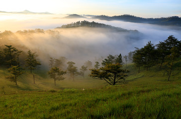 Fototapeta na wymiar Amazing view of mountain, mist & cloud when dawn coming.