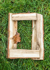 English letter from alphabet made from natural oak