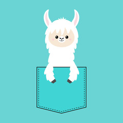 Alpaca llama face and hand in the pocket. T-shirt design. Cute cartoon funny character. Kawaii animal. Love Greeting card. Flat design style. Blue background. Isolated.