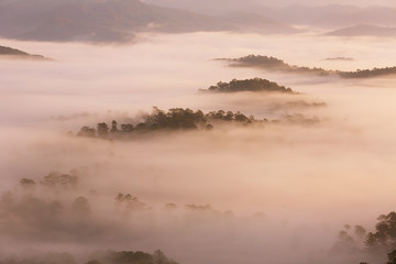 Amazing view of mountain, mist & cloud when dawn coming.