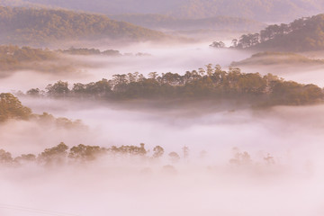 Amazing view of mountain, mist & cloud when dawn coming.
