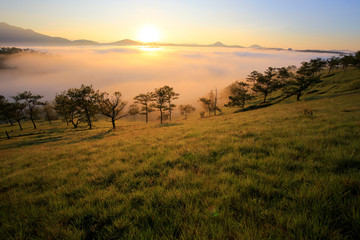 Amazing view of mountain, mist & cloud when dawn coming.