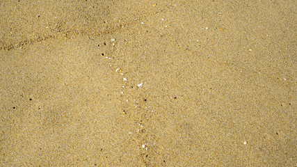 Fototapeta na wymiar 바다 해변가 모래 바닥 빈공간 활용 배경이미지