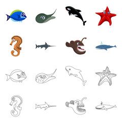 Isolated object of sea and animal icon. Collection of sea and marine stock vector illustration.