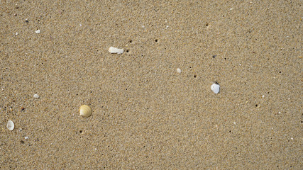 Fototapeta na wymiar 시원한 여름 바닷가 해변 모래바닥 카피공간활용 배경이미지 
