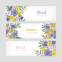 Set of floral banner templates with elegant blooming wild summer flowers and place for text on white background. Collection of natural backdrops with wildflowers. Realistic vector illustration.