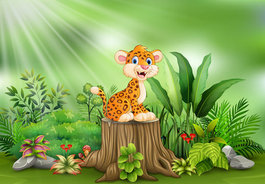 Cartoon happy leopard on tree stump with green plants