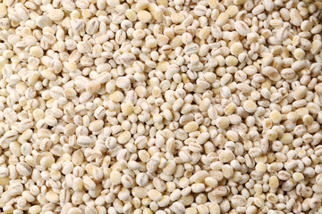 Food: Close up of Pearl Barley Shot in Studio