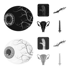 Vector design of body and human sign. Set of body and medical stock vector illustration.