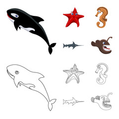 Vector design of sea and animal icon. Collection of sea and marine stock symbol for web.