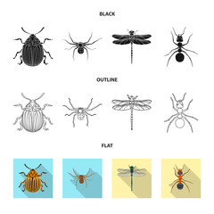 Vector design of insect and fly sign. Collection of insect and element vector icon for stock.