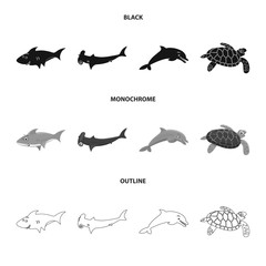 Vector illustration of sea and animal icon. Set of sea and marine vector icon for stock.