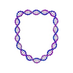 DNA strand in form of shield. 3D rendering illustration.
