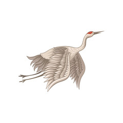 Beautiful red-crowned crane in flying action. Bird with beige feathers, long thin beak, legs and neck. Flat vector design