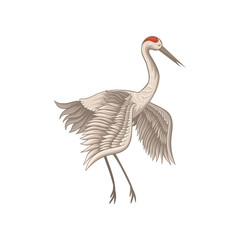 Obraz premium Flat vector icon of beautiful red-crowned crane. Bird with long beak, legs and neck. Wildlife theme
