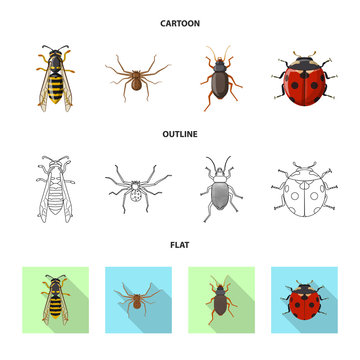 Vector illustration of insect and fly sign. Set of insect and element stock symbol for web.