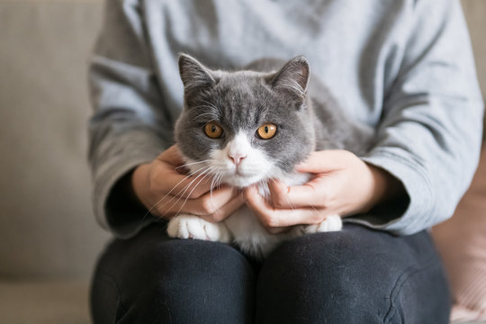 Holding the cute kitten, filming indoors