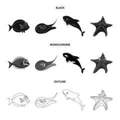 Vector design of sea and animal logo. Set of sea and marine vector icon for stock.