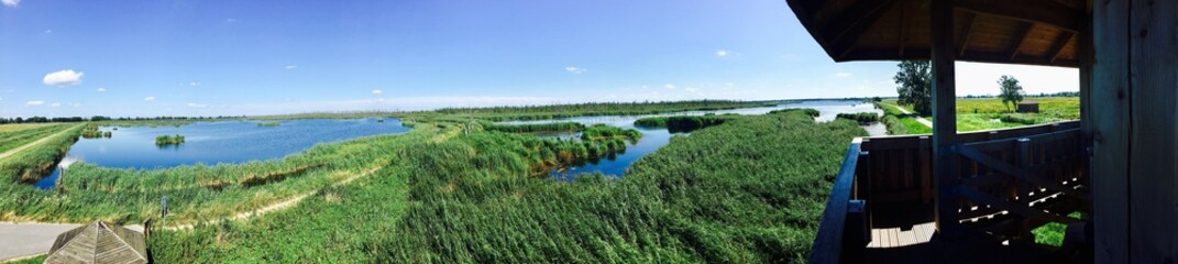 Ostsee Sumpfgebiet als Panorama