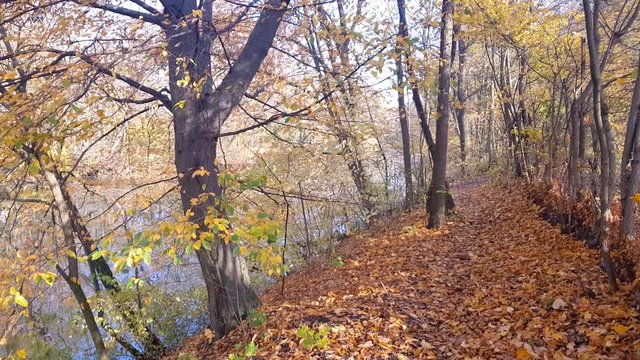 Lake during autumn in Lednice Park, Czech Republic