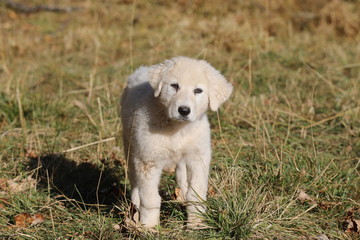 Montagne octobre 18 1