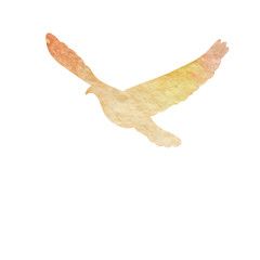 isolated, flying bird, dove silhouette watercolor