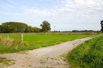 Fototapeta na wymiar meadows and road in a rural area of Lower Rhine, Germany