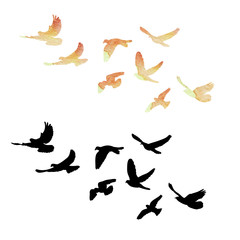 vector isolated, a flock of flying birds, watercolor silhouette of pigeons