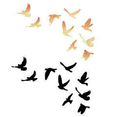 vector isolated, a flock of flying birds, black silhouette of pigeons fly