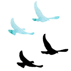 flock of flying birds, black silhouette of pigeons flying on a white background