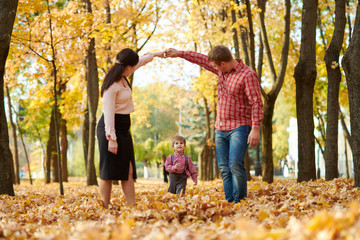 Fototapeta premium Parents and child are walking in autumn city park. Bright yellow trees.