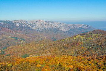 Landscape in Crimean mountains covered with beech forest at fall season