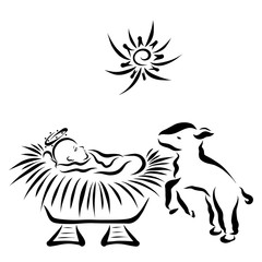 Holy baby Jesus in the manger and cheerful lamb, star