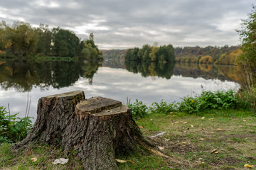 Fototapeta na wymiar cut tree beside the lake Kemnader and reflex clouds