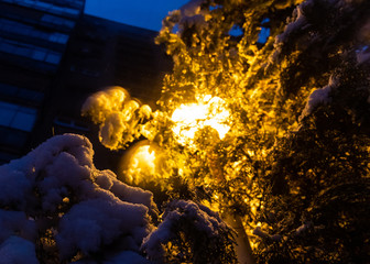 Snow and a city lamp - focus on the snow 