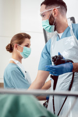 Team of doctors performing endoscopy in hospital examining stomach of patient 