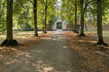 A rocky path in a tree avenue with a castle gate in the background.