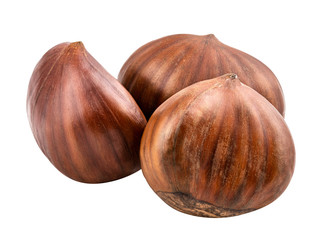 Chestnut isolated on white background