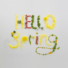 Text HELLO SPRING floral lettering made of leaves and herbs on white background. Top view flat lay