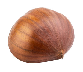 Chestnut isolated on white background