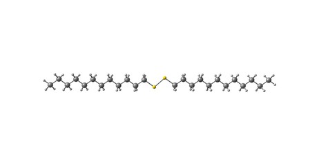 Didodecyl disulfide molecular structure isolated on white