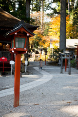 journey at japan autumn season, nikko